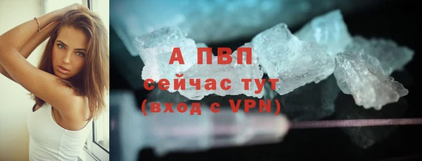 apvp Алзамай