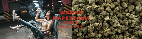apvp Алзамай