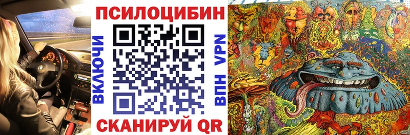 где купить наркотик  Сельцо  МЕГА ССЫЛКА  Псилоцибиновые грибы мухоморы 